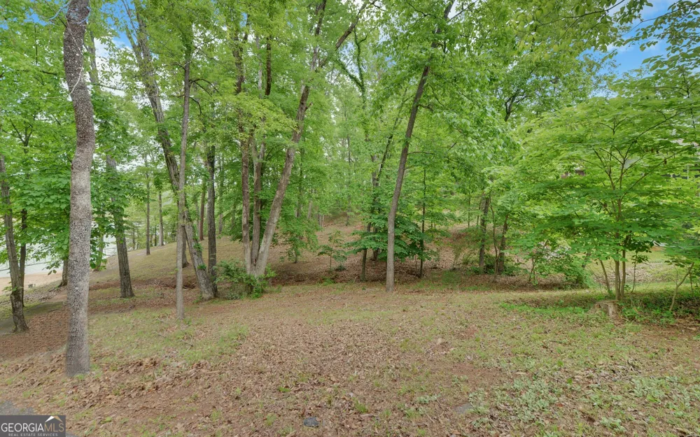 371 Shorewood CIR Toccoa, GA 30577
