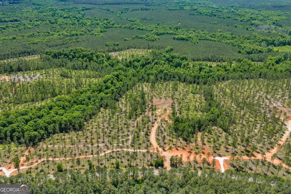 4 Lexington Estates - HWY 22 Lexington, GA 30648
