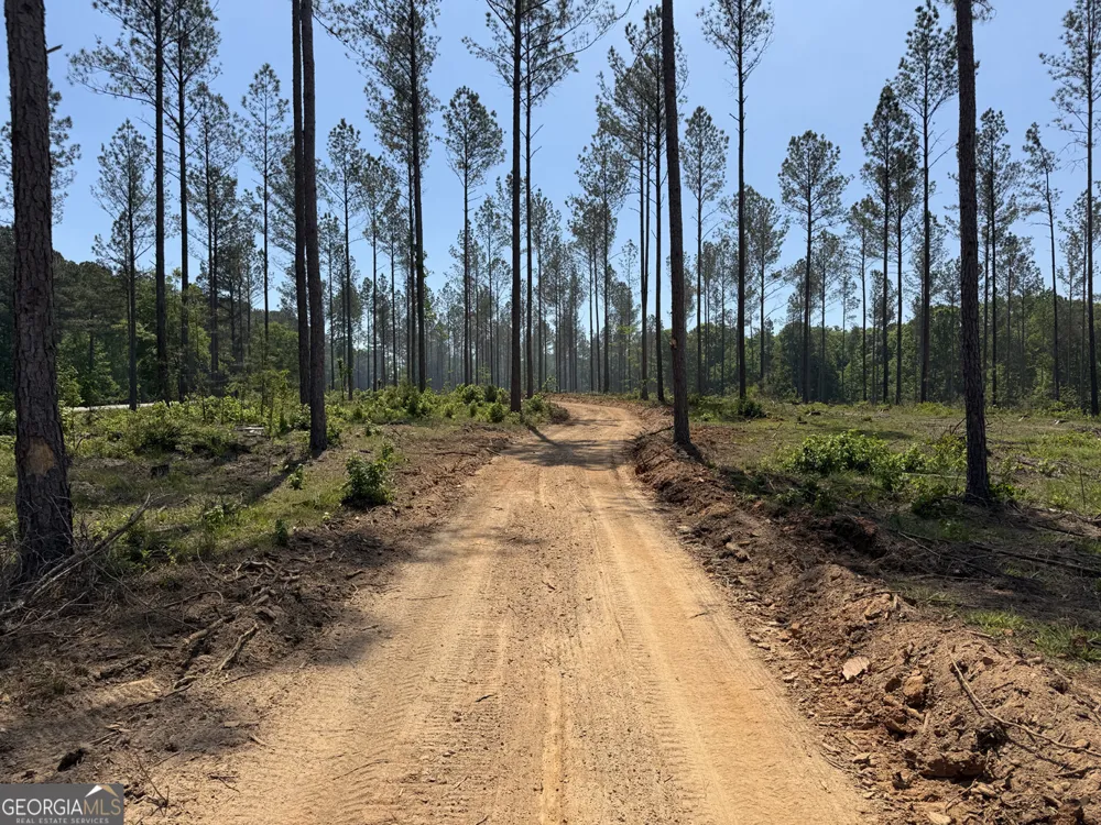 4 Lexington Estates - HWY 22 Lexington, GA 30648