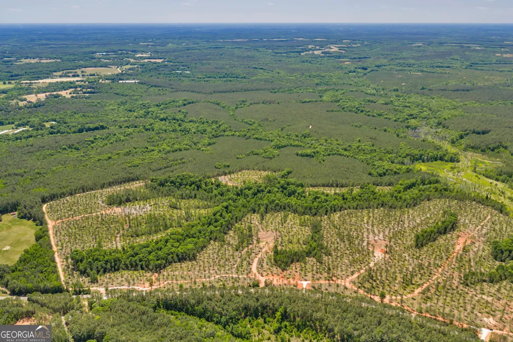 4 Lexington Estates - HWY 22 Lexington, GA 30648