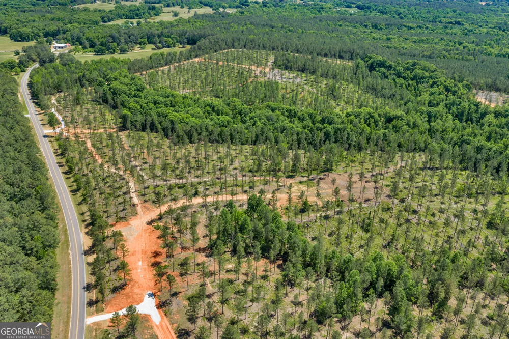 4 Lexington Estates - HWY 22 Lexington, GA 30648