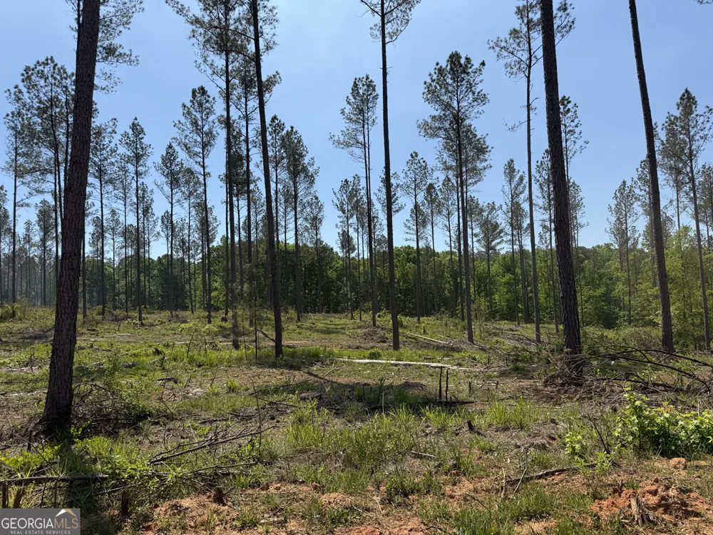 4 Lexington Estates - HWY 22 Lexington, GA 30648
