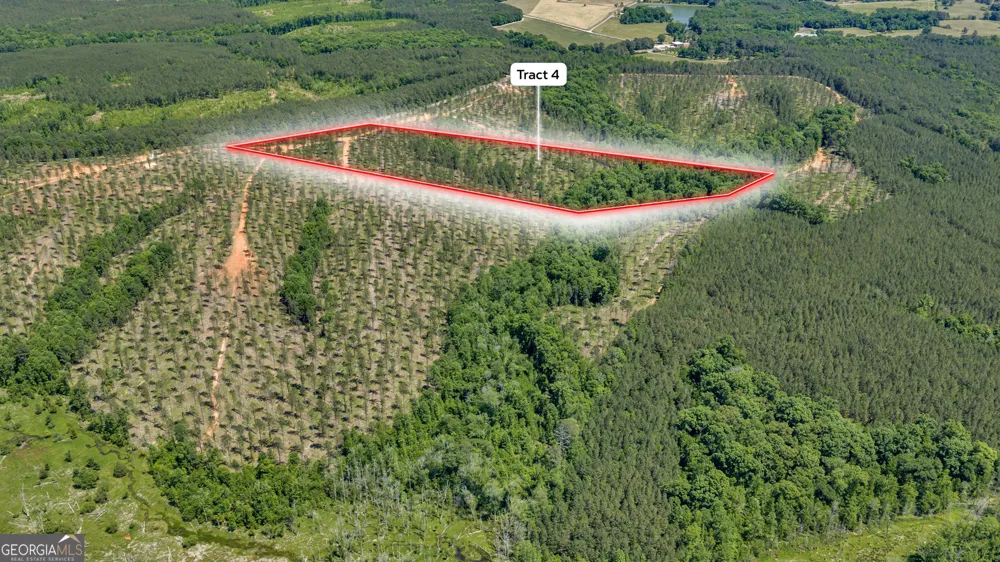 4 Lexington Estates - HWY 22 Lexington, GA 30648