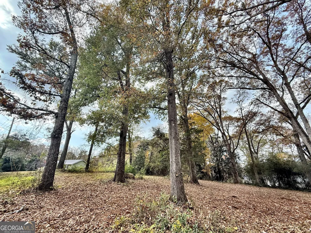 0 S Lee ST Forsyth, GA 31029