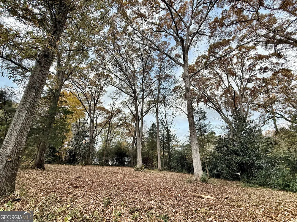 0 S Lee ST Forsyth, GA 31029