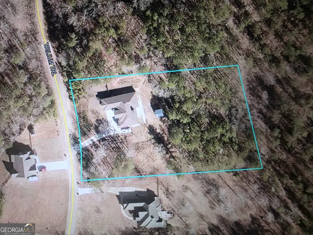 412 Trilium TRL Pendergrass, GA 30567