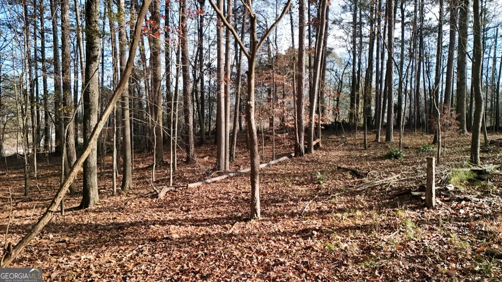 5158 W Holiday CT SE Acworth, GA 30102