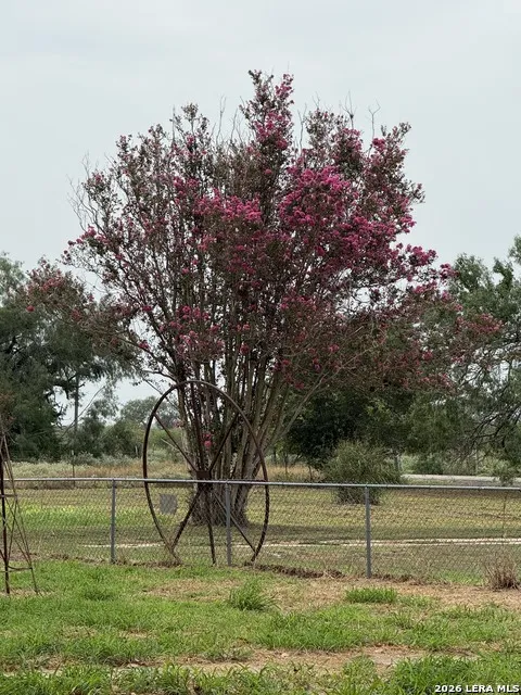 1939 County Road 134 Runge, TX 78151