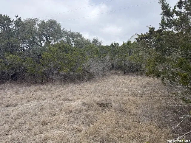 LOT 71 S Cliff Spring Branch, TX 78070