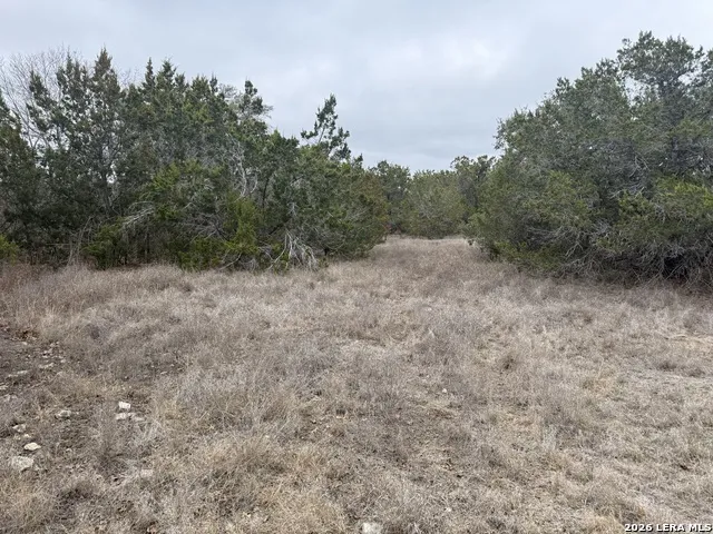 LOT 71 S Cliff Spring Branch, TX 78070