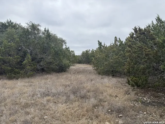 LOT 71 S Cliff Spring Branch, TX 78070