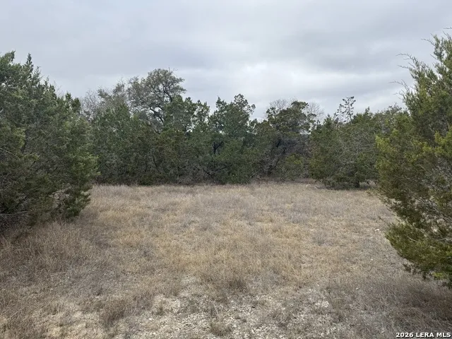 LOT 71 S Cliff Spring Branch, TX 78070
