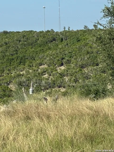 1539 HIDDEN ACRES RD Kerrville, TX 78028