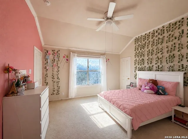 7537 Steeple San Antonio, TX 78256