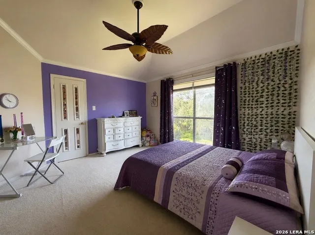 7537 Steeple San Antonio, TX 78256