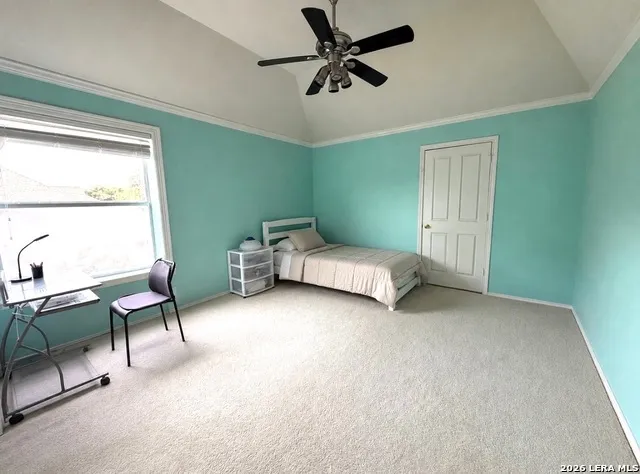 7537 Steeple San Antonio, TX 78256