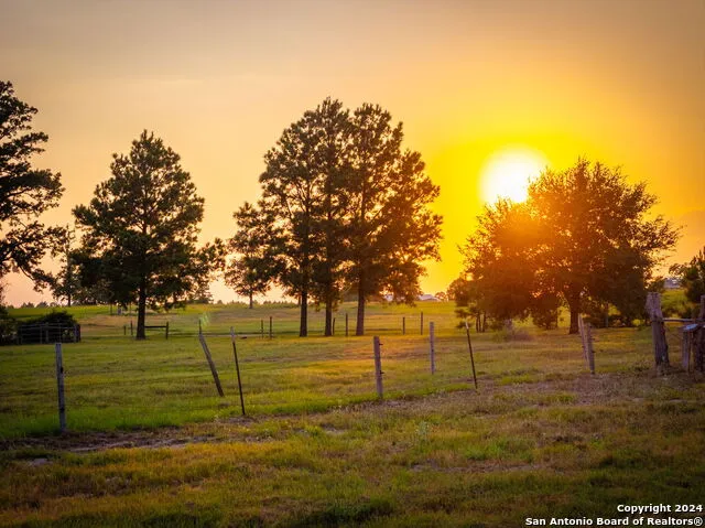 1031 Angel Lake Estates Alleyton, TX 78935