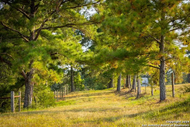 1031 Angel Lake Estates Alleyton, TX 78935
