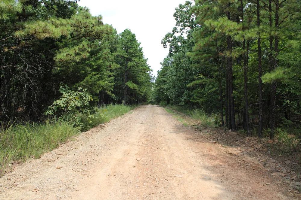1060 ROAD Panola, OK 74559