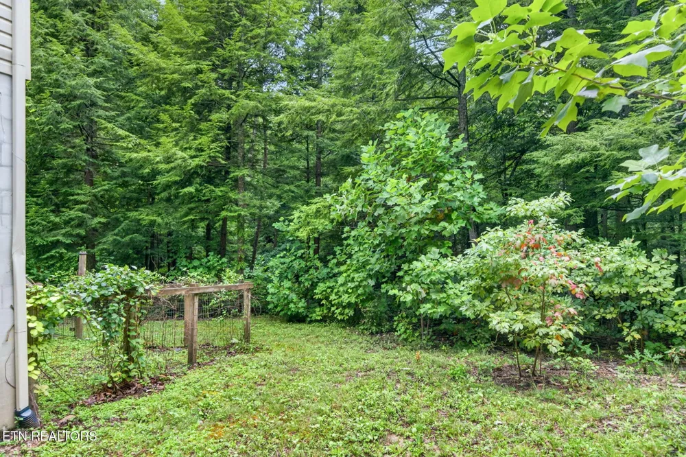 50 Ross Place Monterey, TN 38574