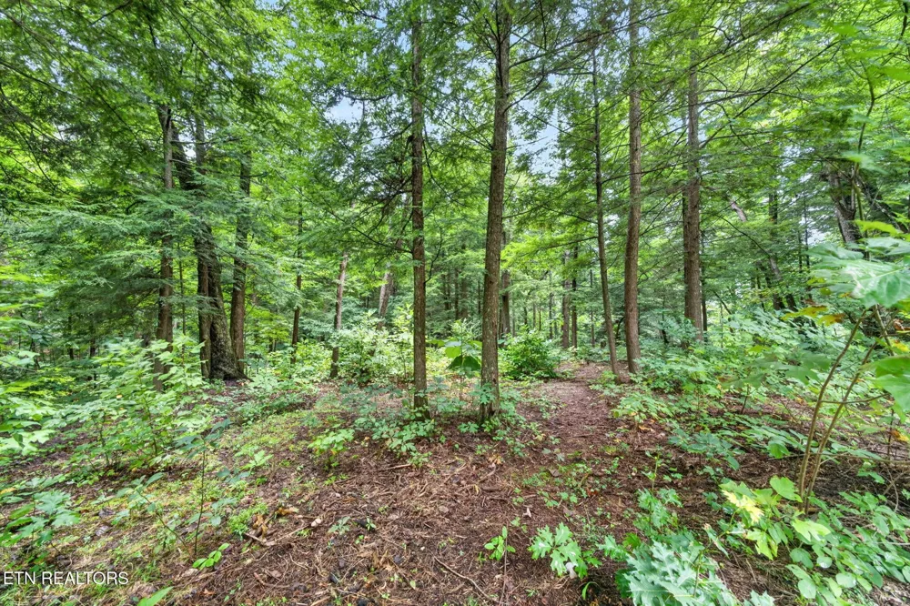 50 Ross Place Monterey, TN 38574
