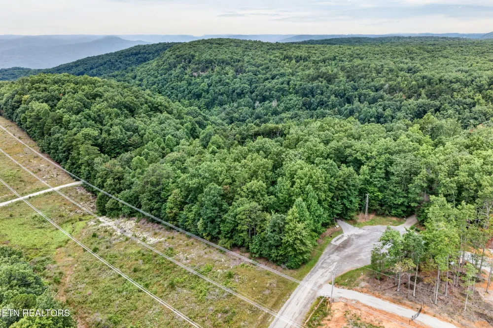 50 Ross Place Monterey, TN 38574