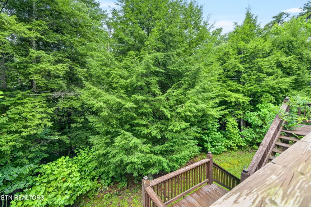 50 Ross Place Monterey, TN 38574