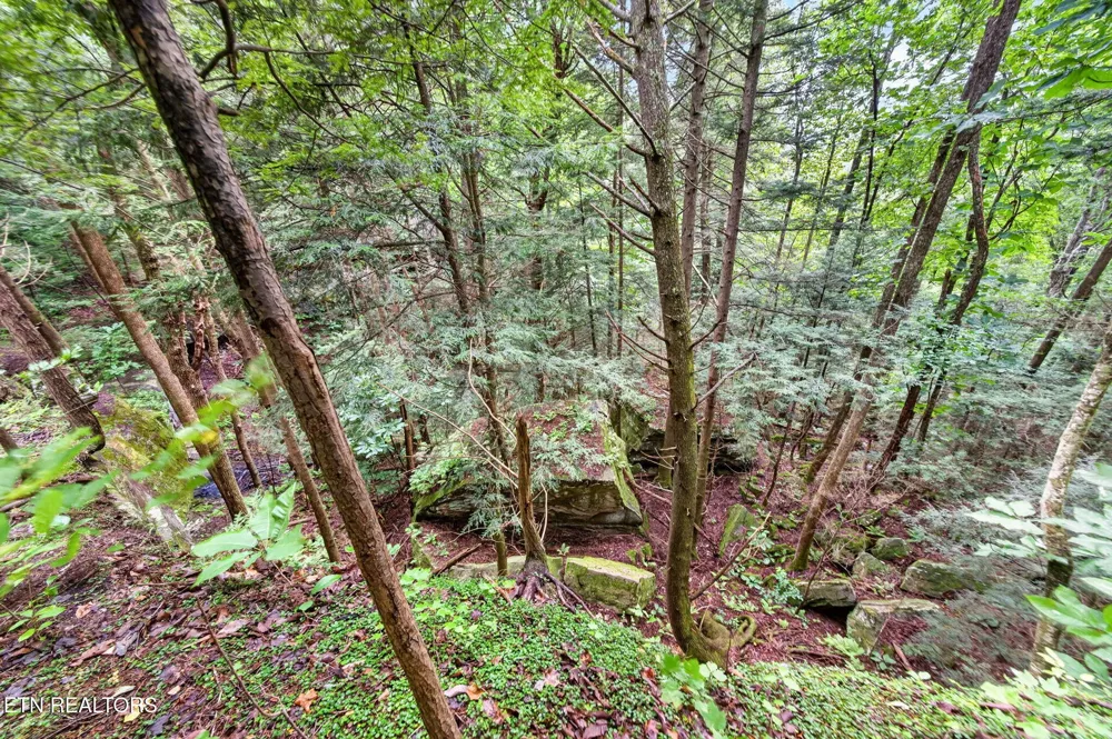 50 Ross Place Monterey, TN 38574