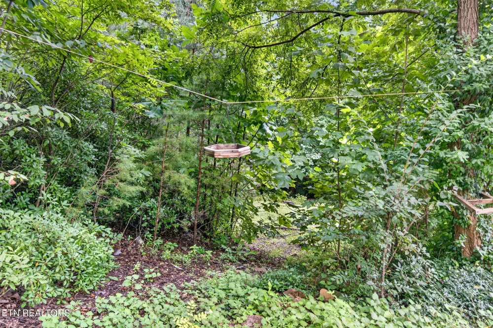 50 Ross Place Monterey, TN 38574