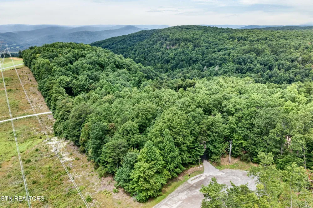 50 Ross Place Monterey, TN 38574