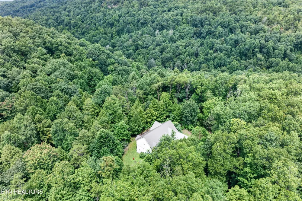50 Ross Place Monterey, TN 38574
