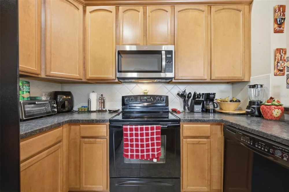 8924 MOONLIT MEADOWS LOOP Riverview, FL 33578
