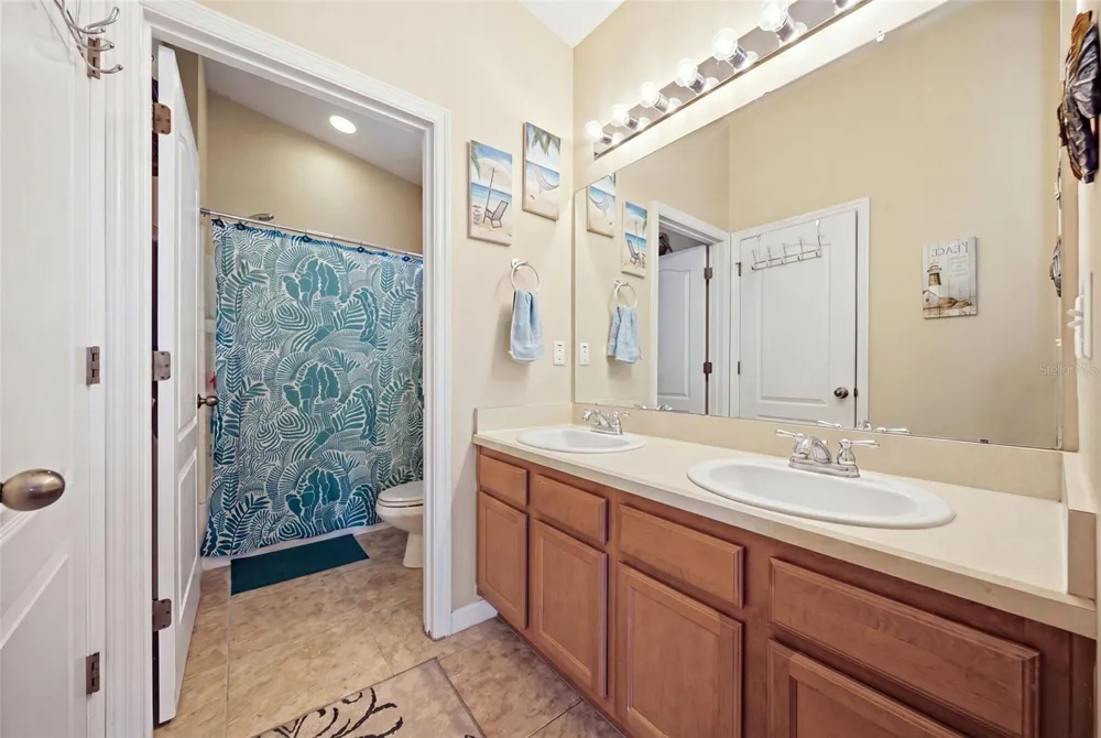 8924 MOONLIT MEADOWS LOOP Riverview, FL 33578