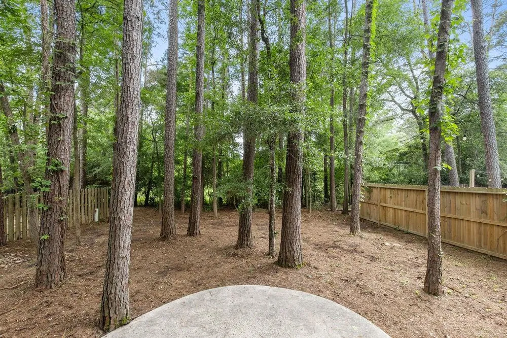39 W Tallowberry Drive The Woodlands, TX 77381