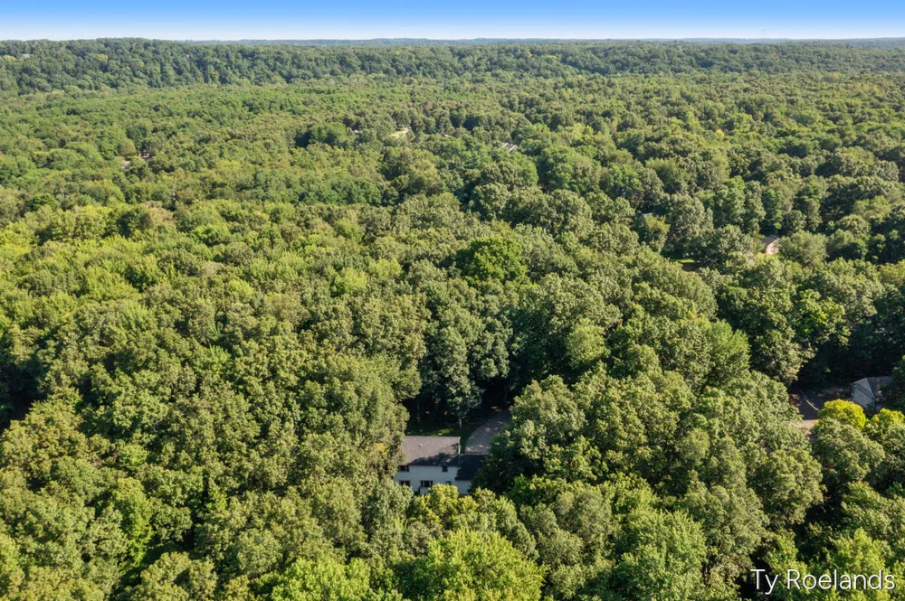 99 Radny Drive SE Lowell, MI 49331