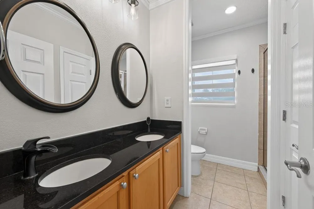 4546 BAY SPRING COURT Tampa, FL 33611