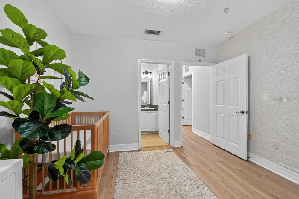 4546 BAY SPRING COURT Tampa, FL 33611