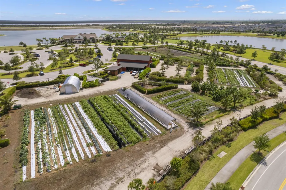 1177 Harvester Crossing Loxahatchee, FL 33470