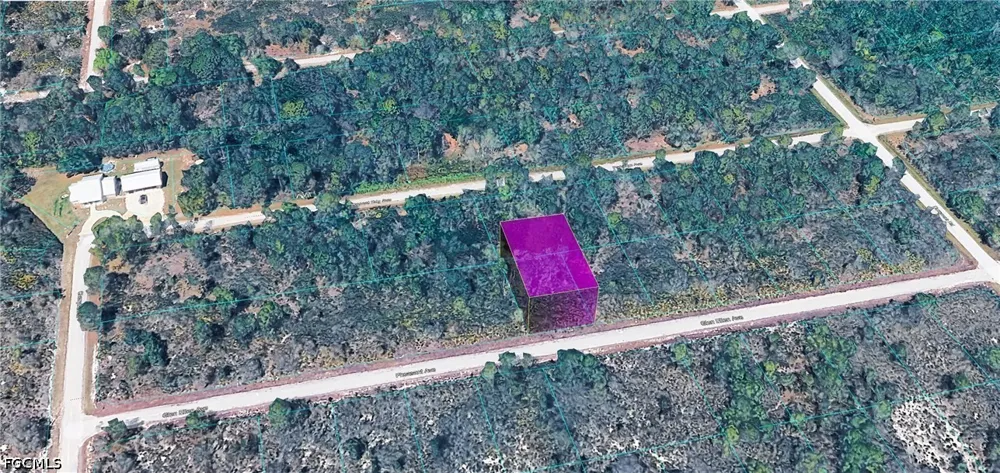 Pheasant Avenue Lake Placid, FL 33852