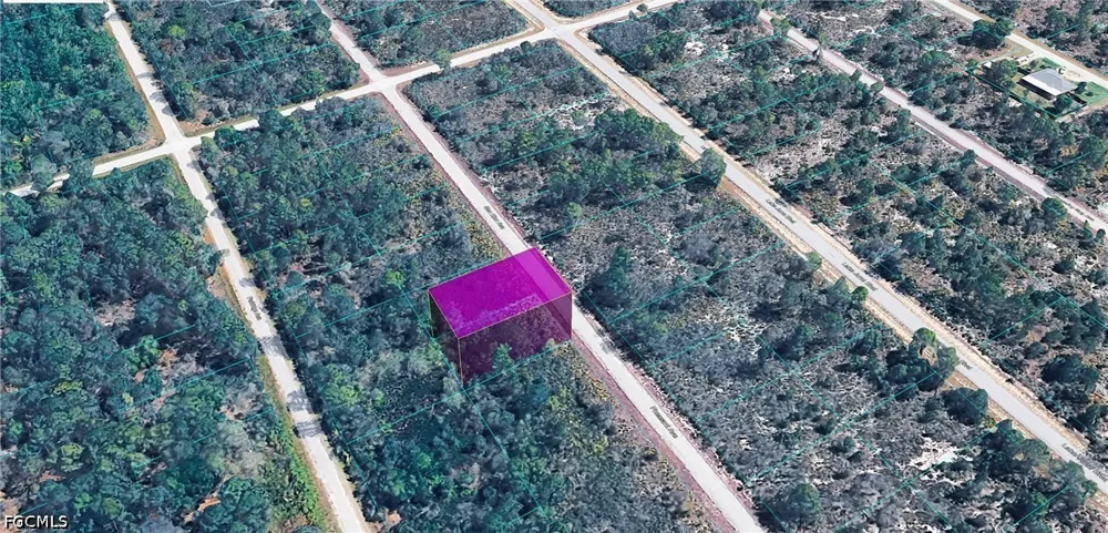 Pheasant Avenue Lake Placid, FL 33852