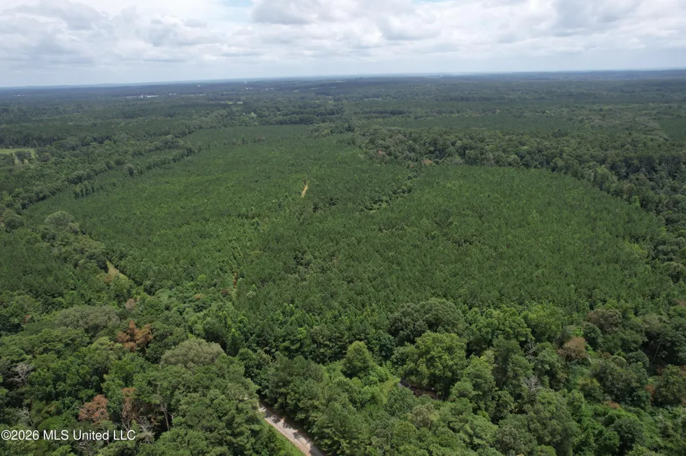 Smith County Road Raleigh, MS 39153
