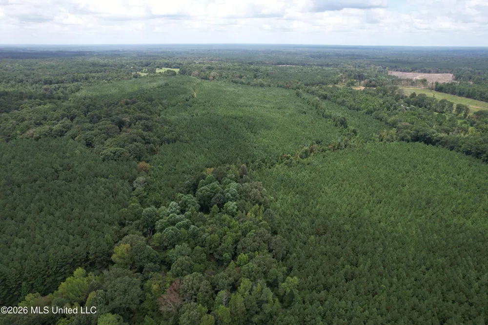 Smith County Road Raleigh, MS 39153