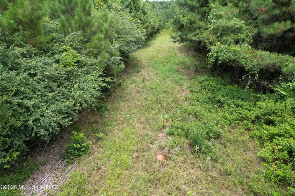 Smith County Road Raleigh, MS 39153