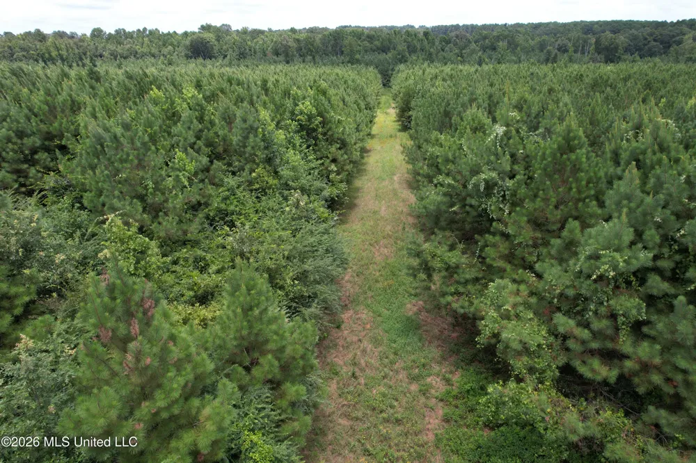 Smith County Road Raleigh, MS 39153