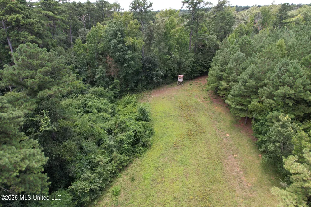 Smith County Road Raleigh, MS 39153