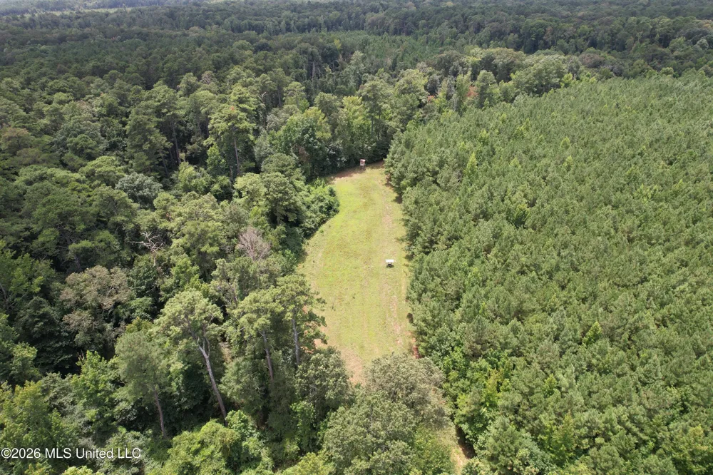 Smith County Road Raleigh, MS 39153