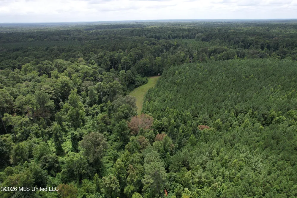 Smith County Road Raleigh, MS 39153