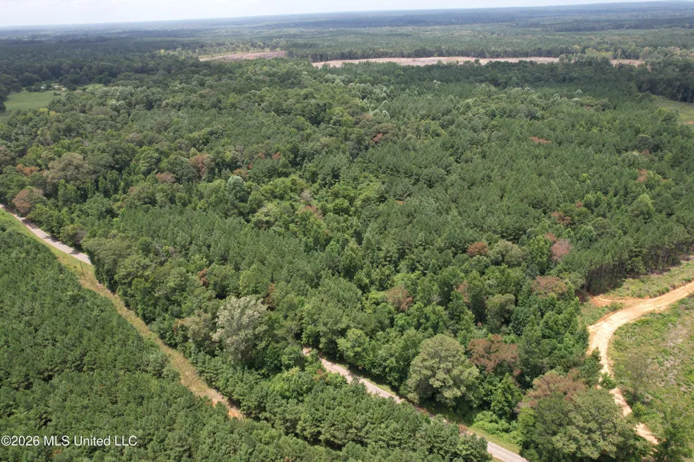 Smith County Road Raleigh, MS 39153