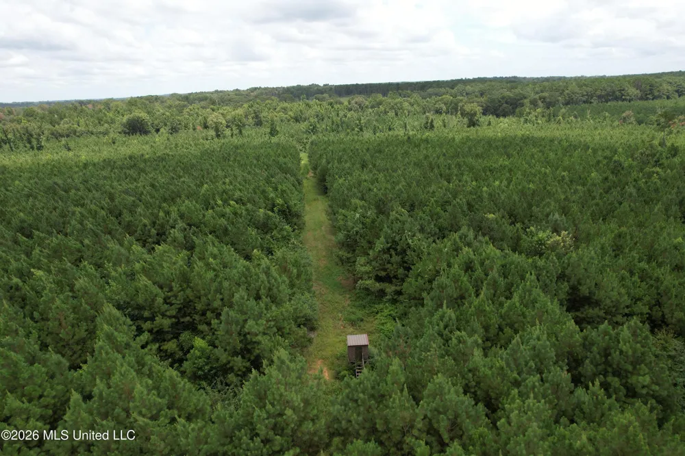 Smith County Road Raleigh, MS 39153