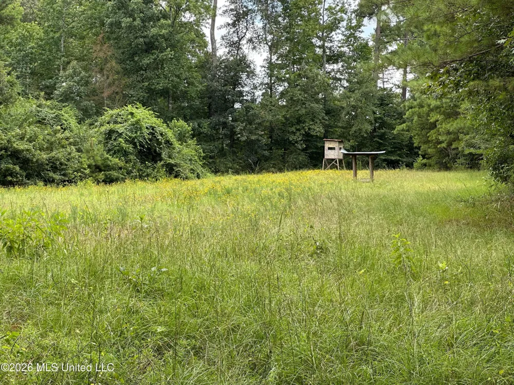 Smith County Road Raleigh, MS 39153